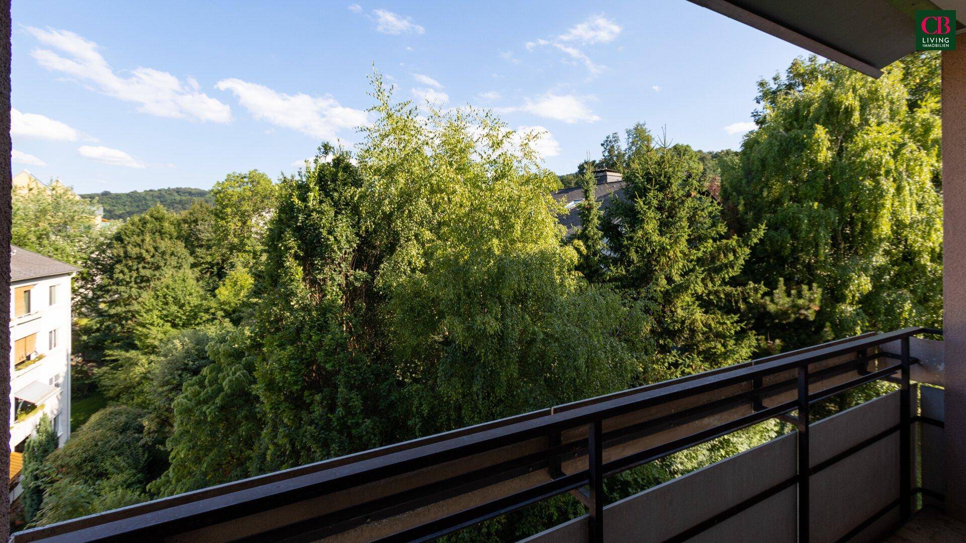 Panoramablick von einem Balkon über üppige Baumkronen und umliegende Gebäude.