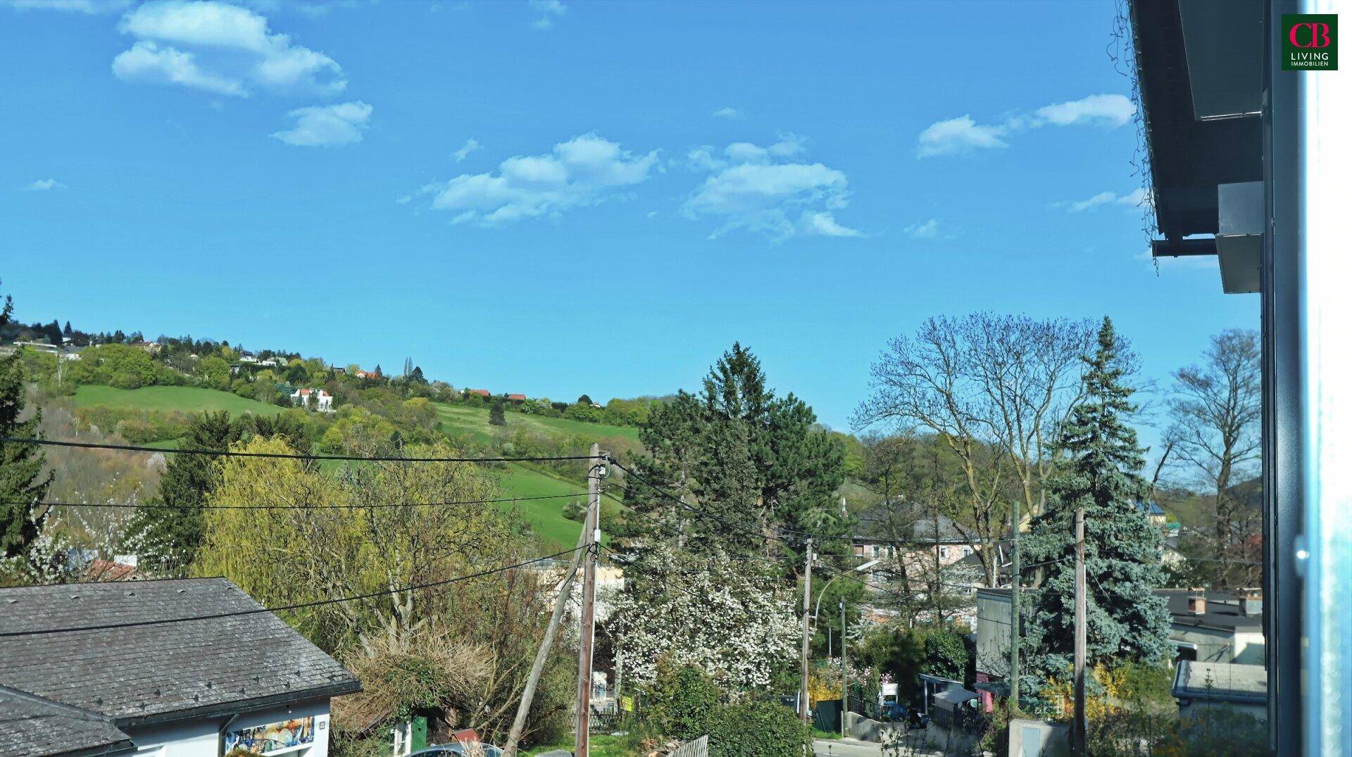 Weitläufiger Blick über grüne Hügel und die umliegende Landschaft.