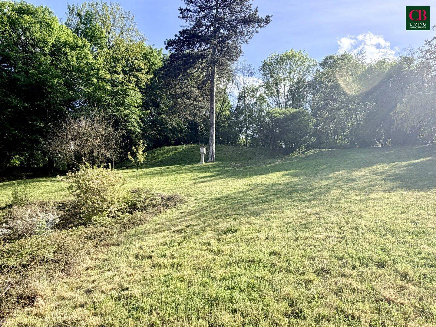 Weitläufige Rasenfläche des Gartens mit hohen Bäumen und Blick auf die umliegende Natur.