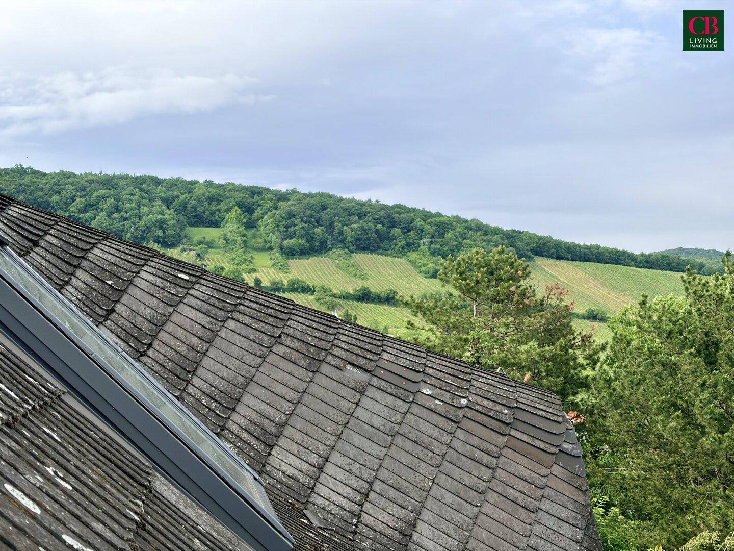Blick über ein Ziegeldach auf eine weite grüne Landschaft mit Weinbergen unter bewölktem Himmel.