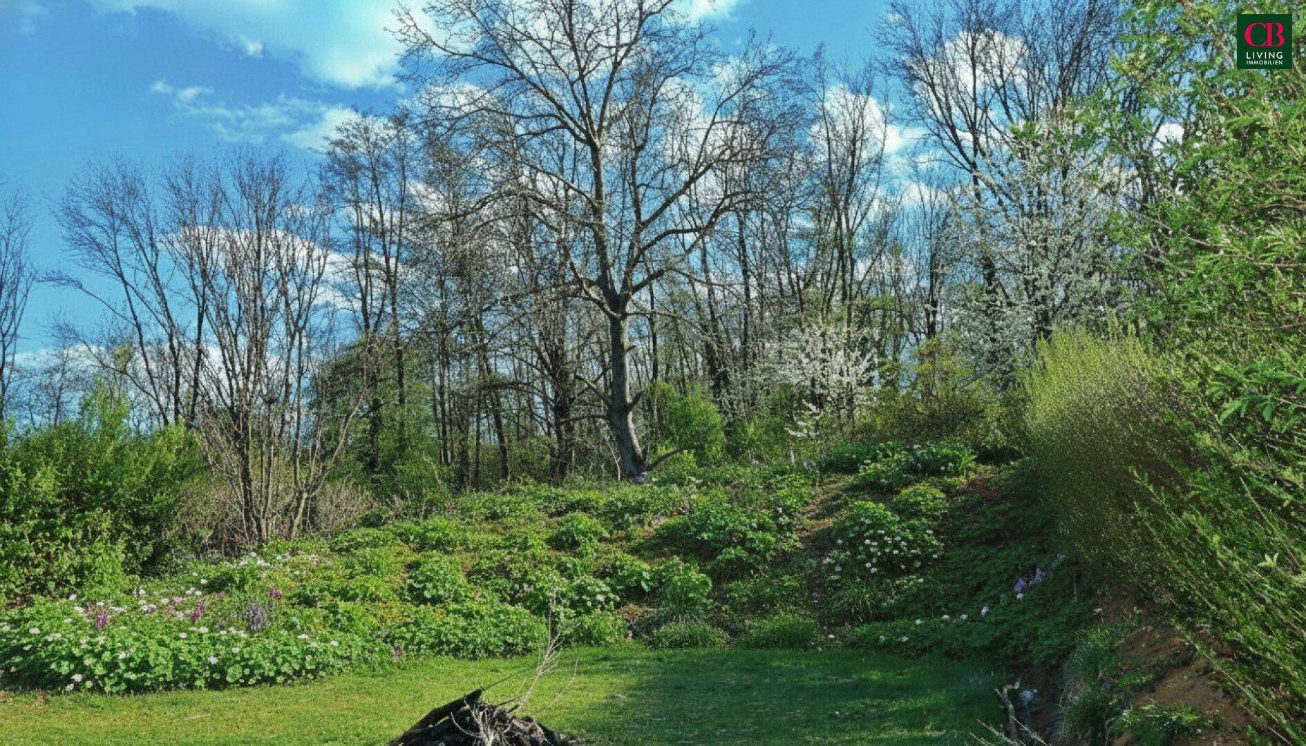 Naturbelassener Gartenbereich mit Bäumen, Sträuchern und blühenden Pflanzen.
