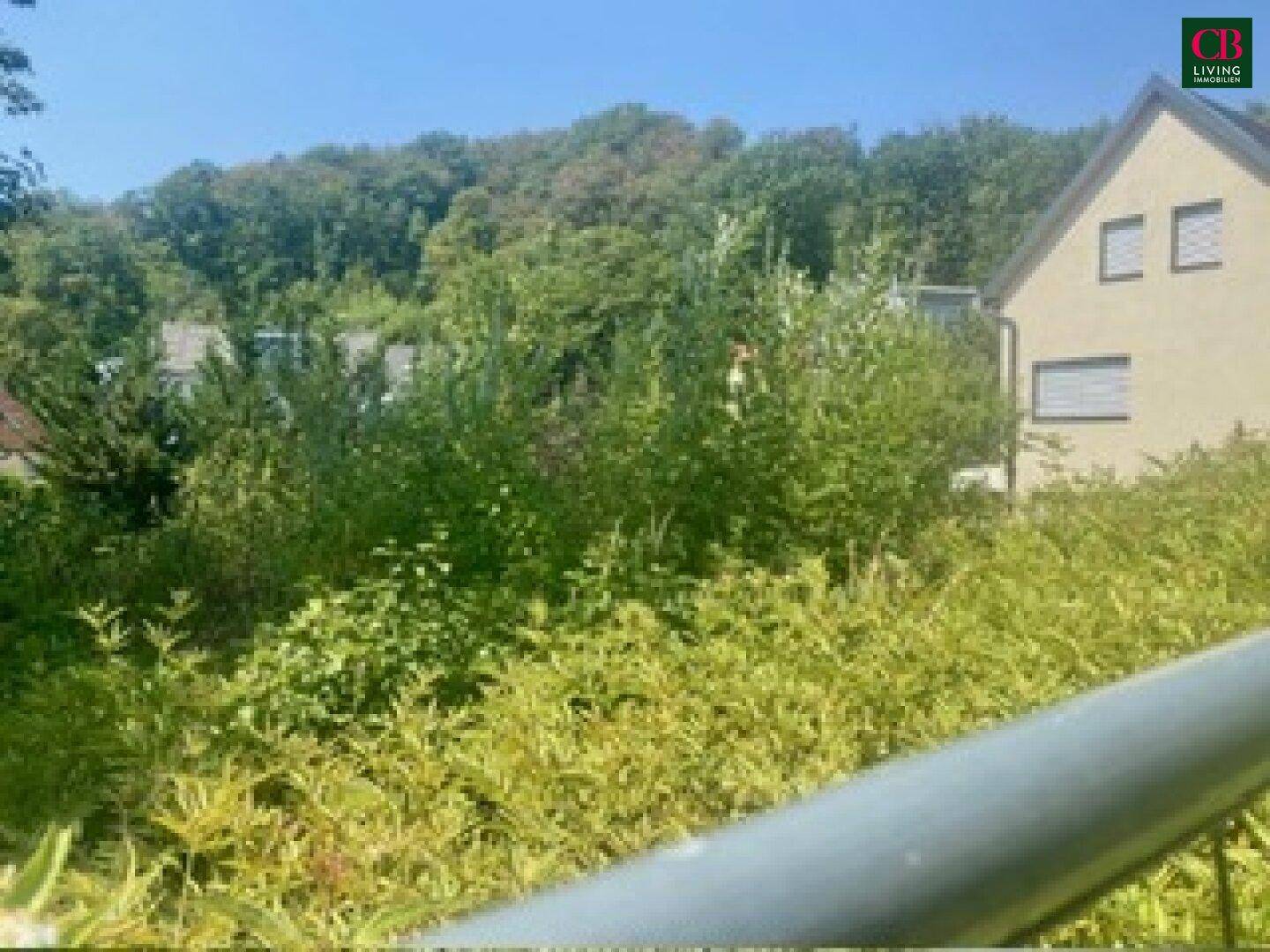 Blick über ein verwildertes Grundstück auf ein Wohnhaus mit Bäumen im Hintergrund.
