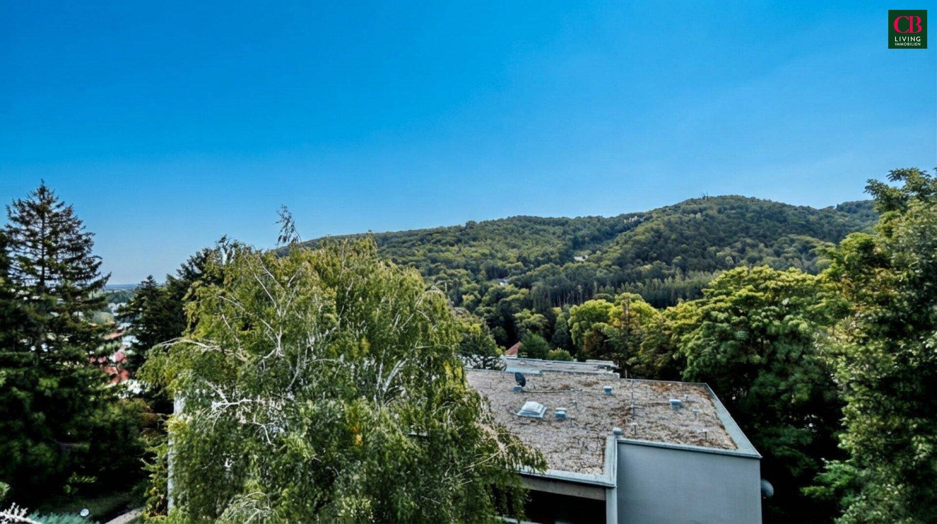 Panoramablick auf eine grüne Hügellandschaft mit dichtem Baumbestand unter blauem Himmel.