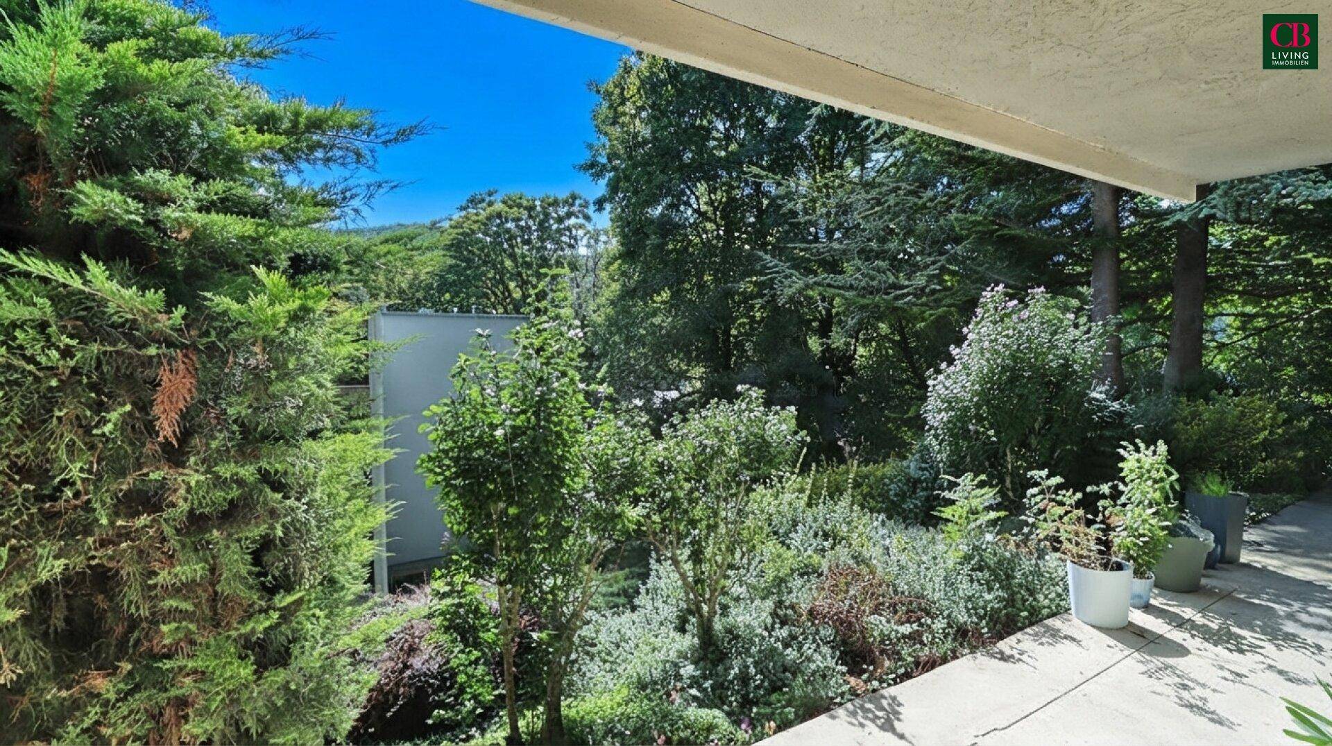 Üppiger Gartenbereich mit verschiedenen Pflanzen und einer gepflasterten Terrasse unter blauem Himmel.