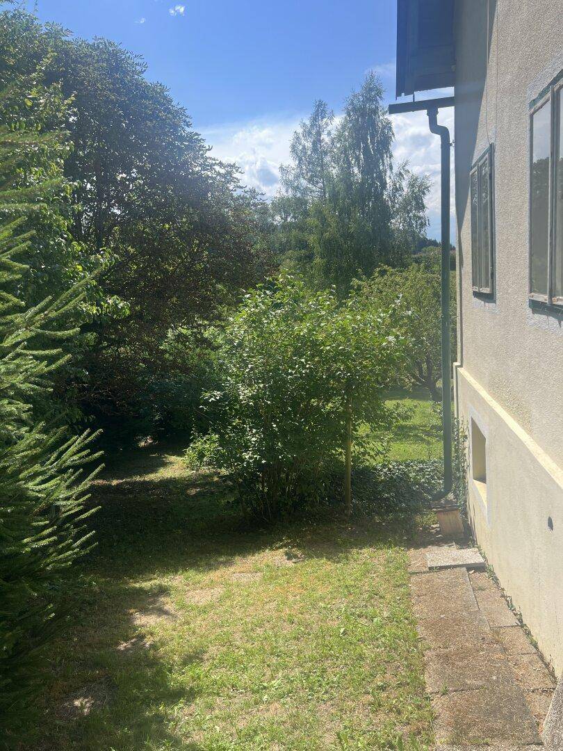 Seitenansicht eines gelben Hauses, umgeben von dichtem Grün und hohen Bäumen.