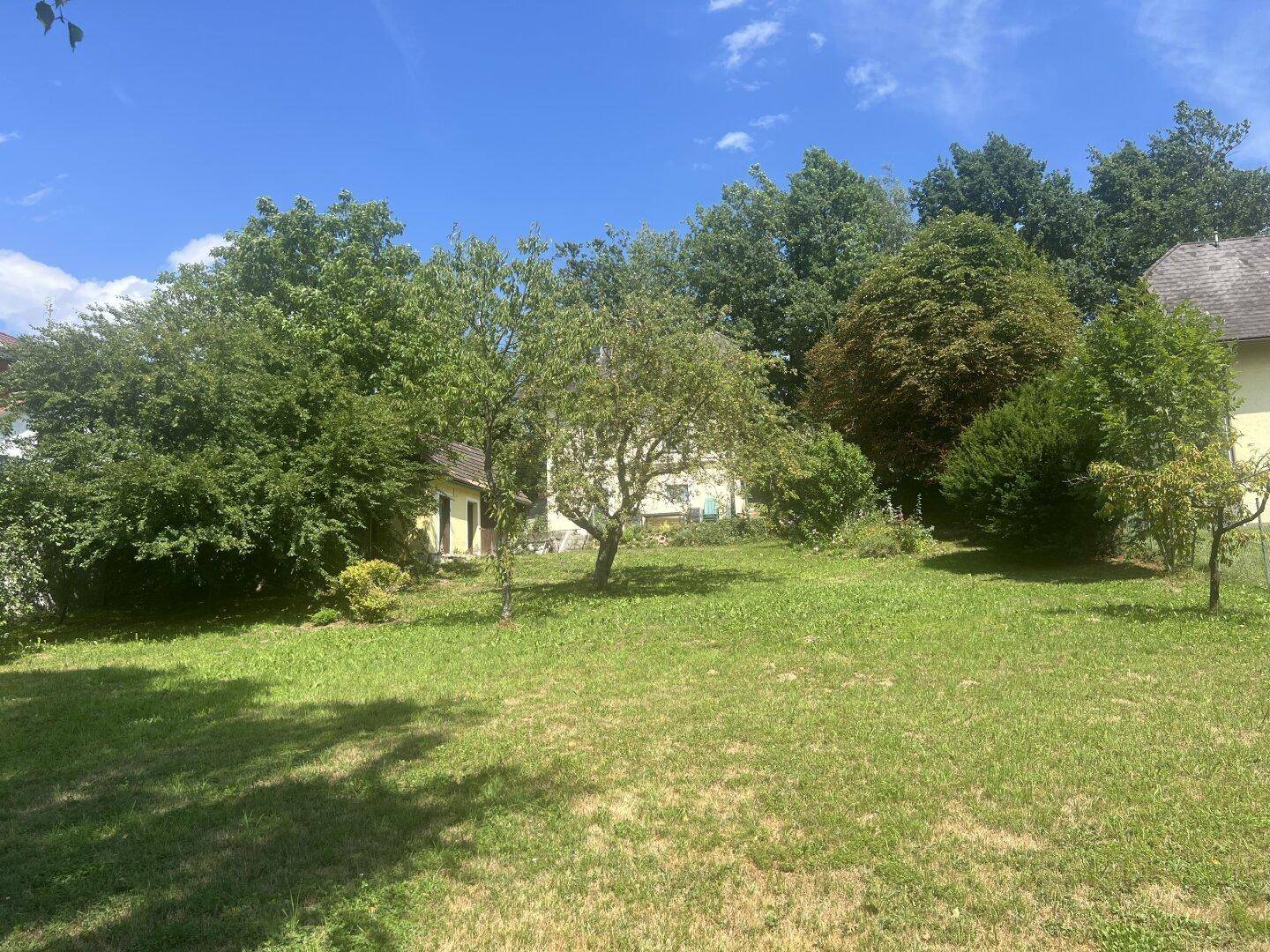 Weitläufiger Garten mit Rasen, verschiedenen Bäumen und einem kleinen Gebäude im Hintergrund.
