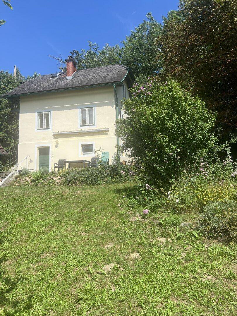 Gelbe Hausfassade mit grünen Fensterrahmen, umgeben von üppiger Vegetation auf einem Hanggrundstück.