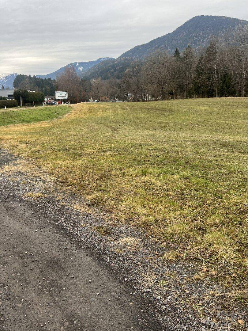Grüne Wiese mit Schotterweg im Vordergrund und bewaldeten Bergen im Hintergrund.