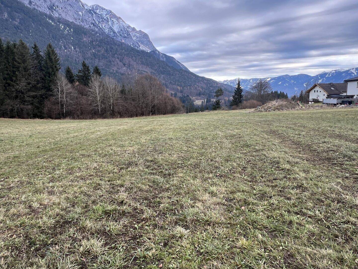 Grüne Wiesenlandschaft mit Fernblick auf schneebedeckte Berge und vereinzelte Häuser.