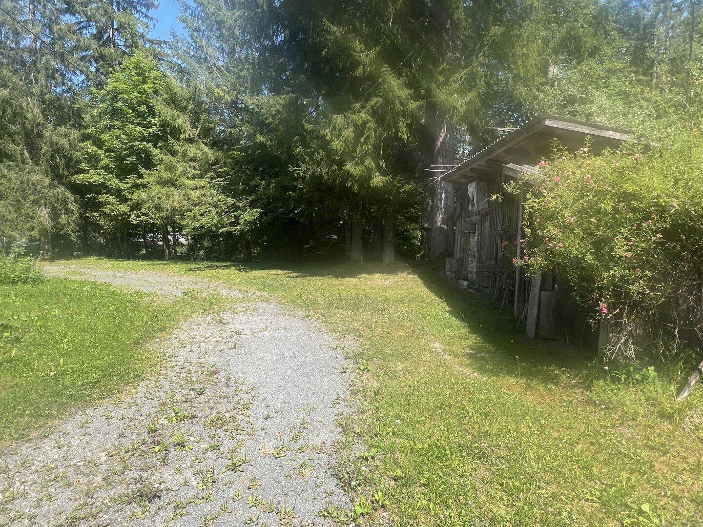Kiesweg führt durch einen grünen Garten zu einem rustikalen Holzschuppen, umgeben von Bäumen.