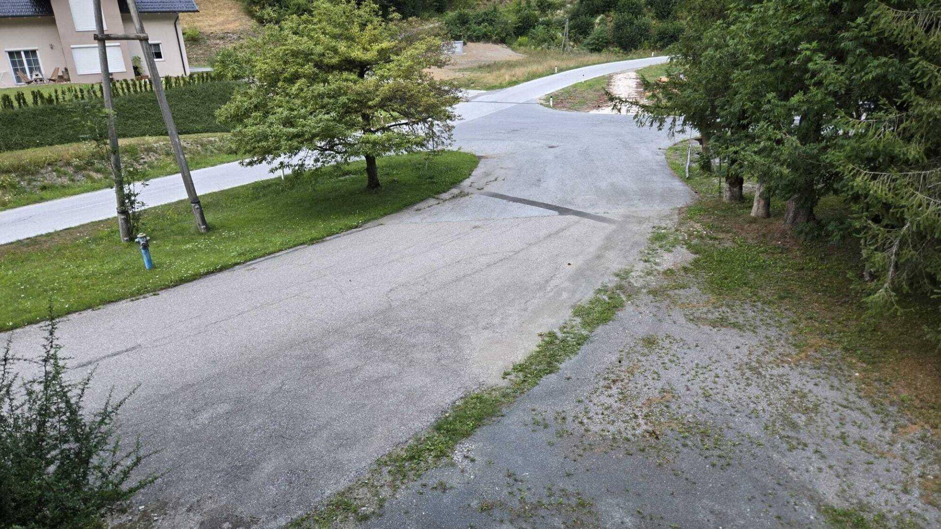 Asphaltierte Straße mit Abzweigung und Bäumen, umgeben von ländlicher Bebauung und Natur.