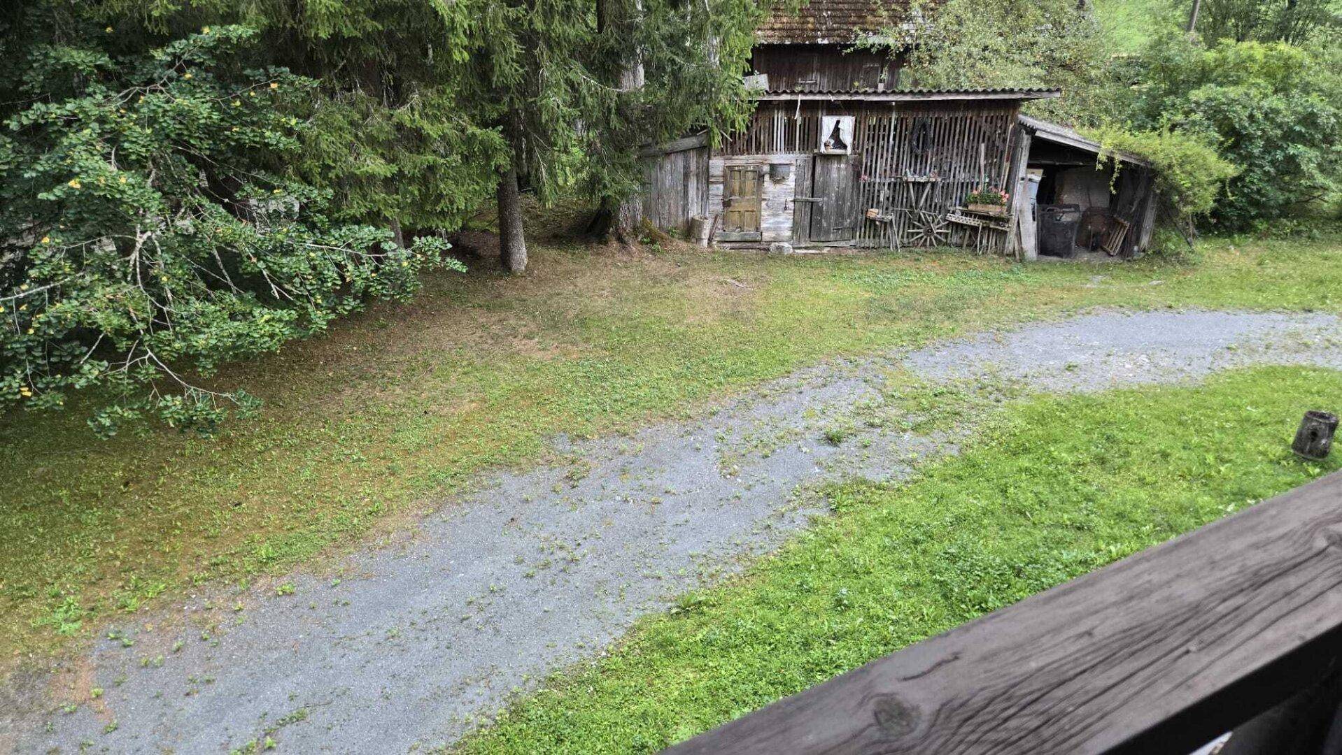 Blick auf den Gartenbereich mit Schotterweg und einem rustikalen Holzschuppen, umgeben von Bäumen.