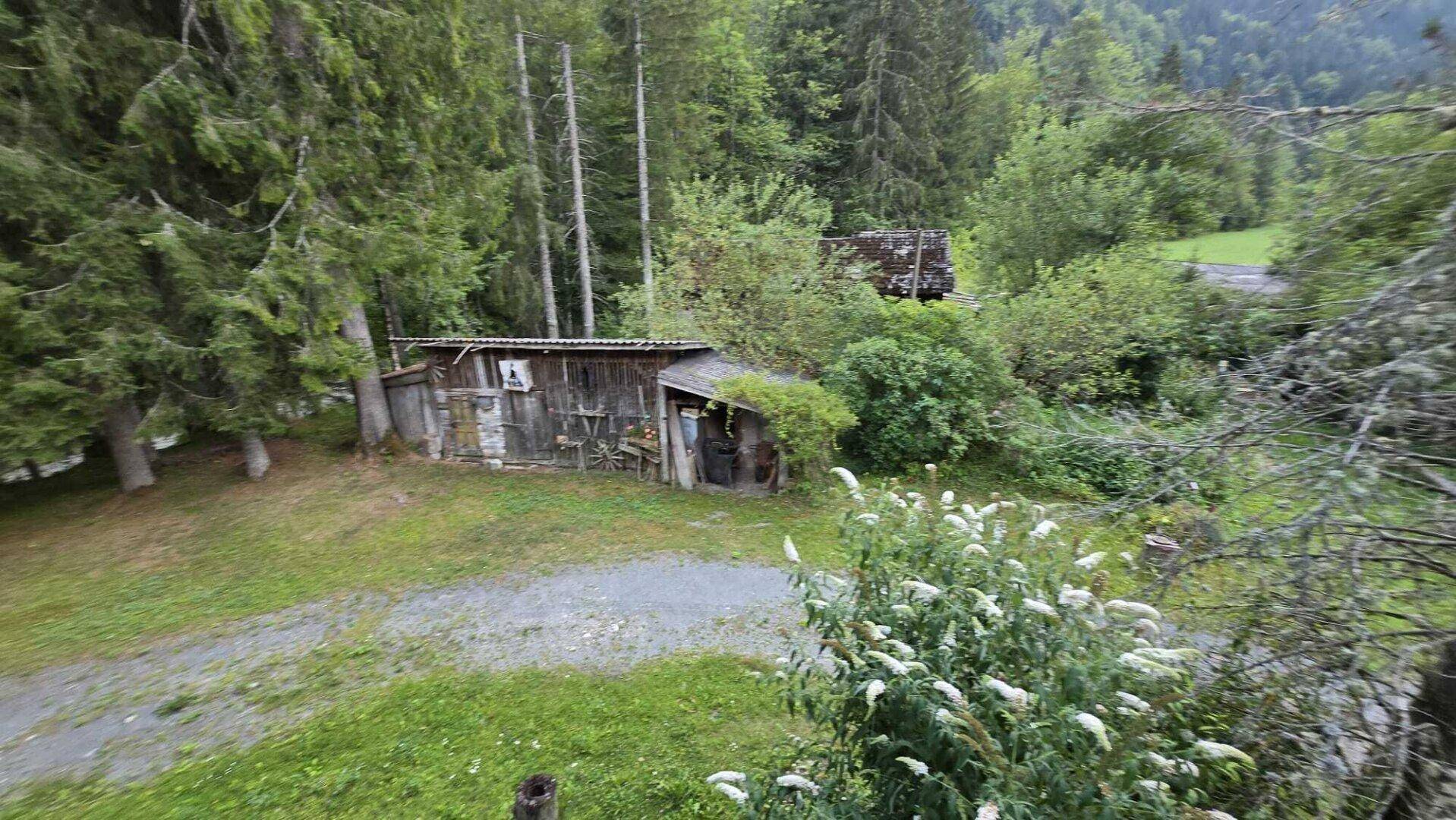 Weitläufiger Gartenbereich mit altem Holzschuppen und umgebendem dichten Wald.