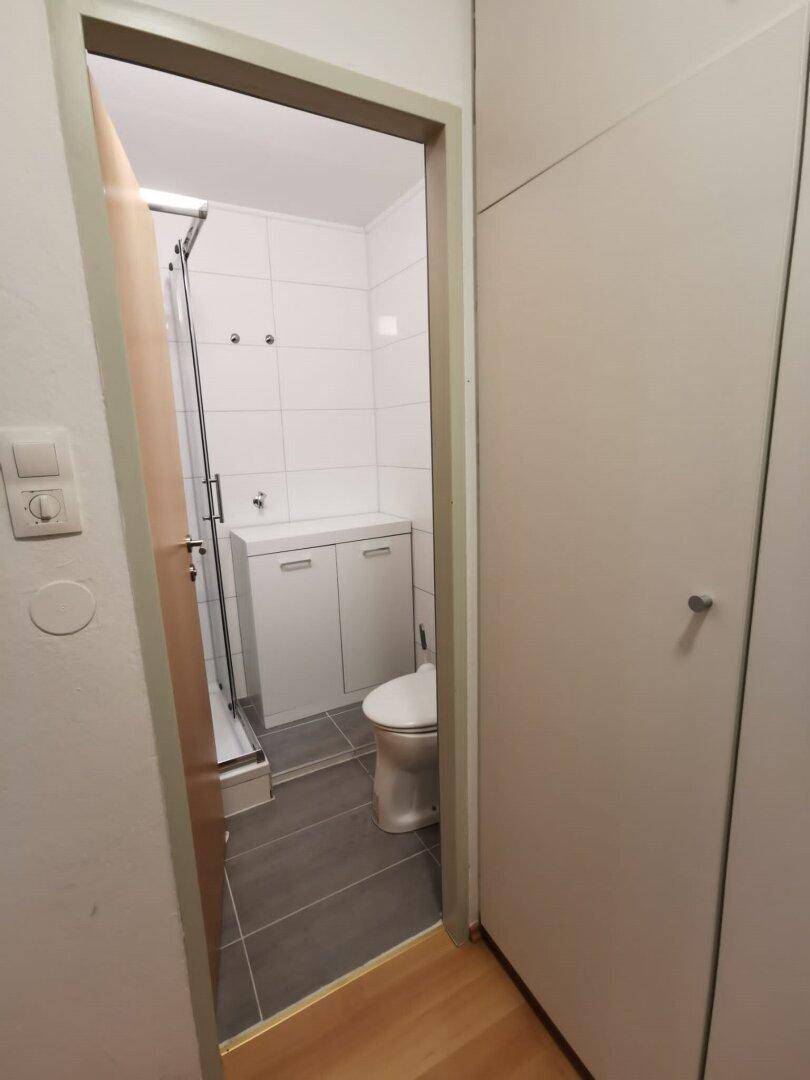 Blick vom Flur in ein Badezimmer mit Toilette, Duschkabine und modernen grauen Bodenfliesen.