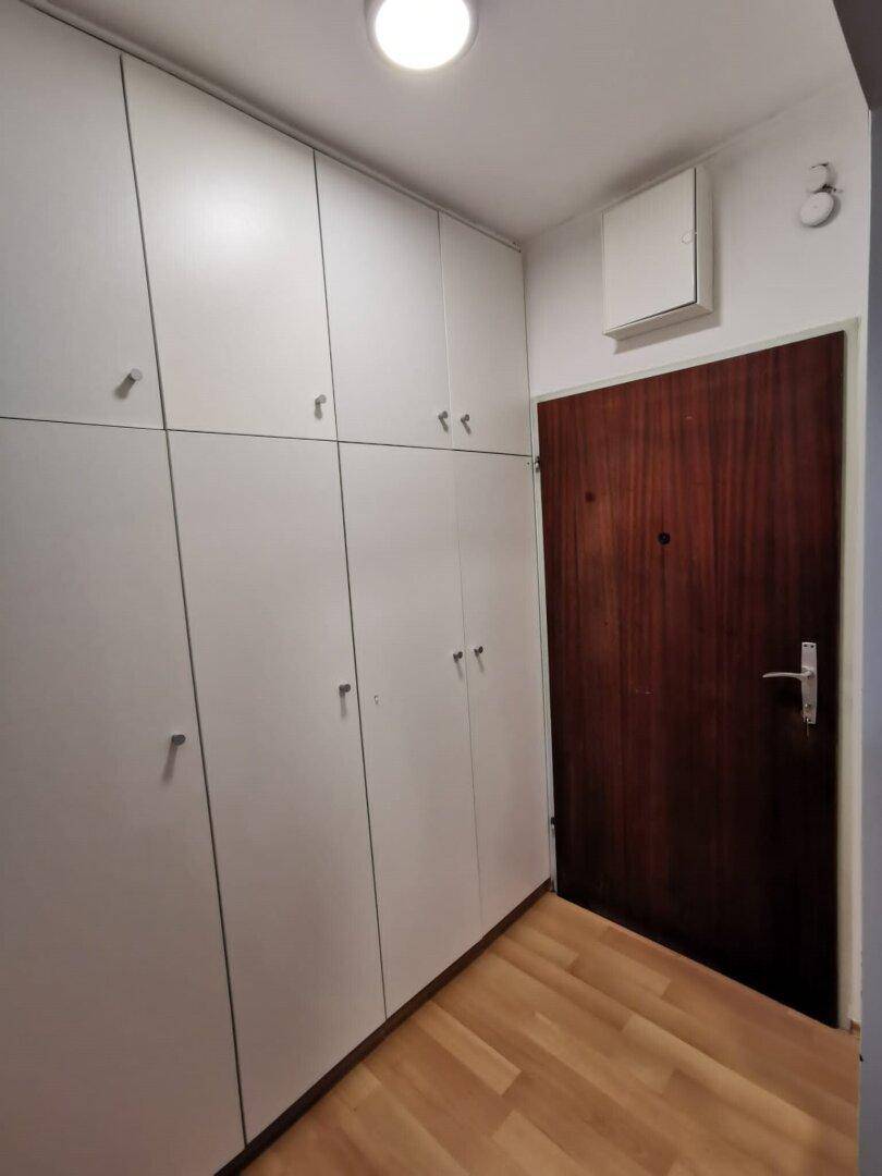 Eingangsbereich mit praktischen Einbauschränken und einer dunklen Holztür, auf hellem Holzfußboden.