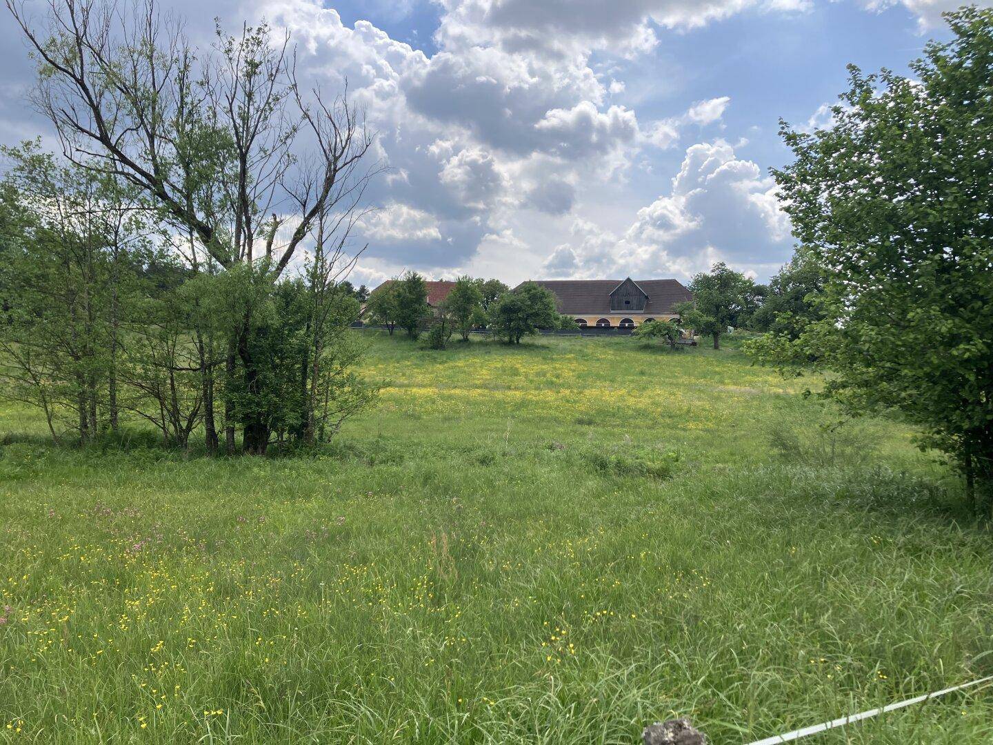 Blühende Wiese mit Bäumen und einem großen Gebäudeensemble in der Ferne unter einem wolkigen Himmel.