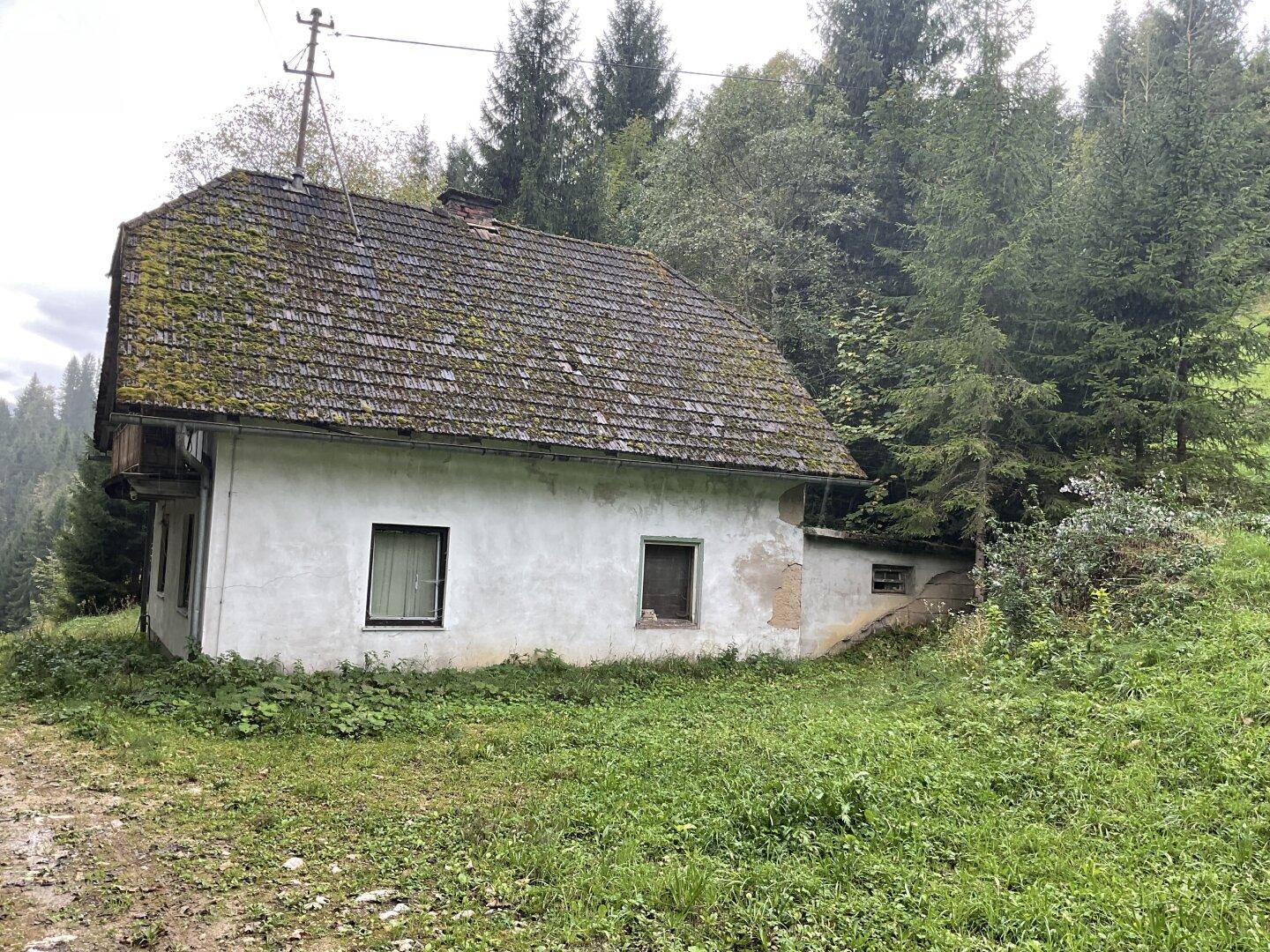 Rückansicht des alten Bauernhauses mit moosbewachsenem Dach und einfacher Fassade, eingebettet in die Natur.