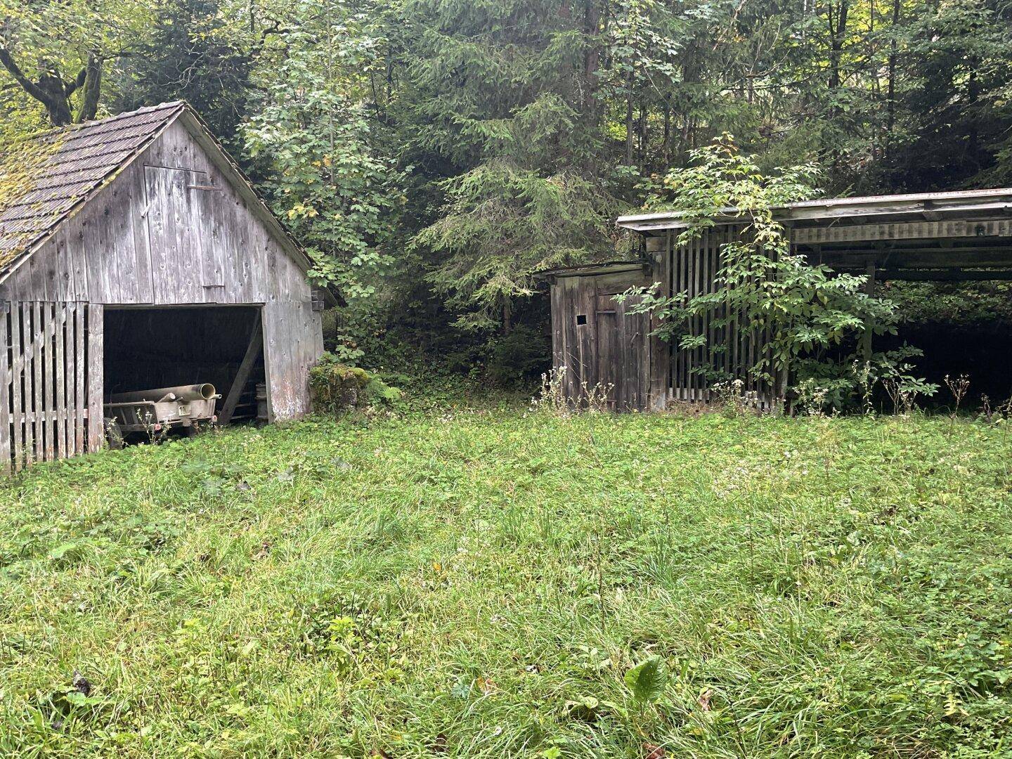 Zwei rustikale Holzschuppen auf einer Wiese, umgeben von dichtem Wald.