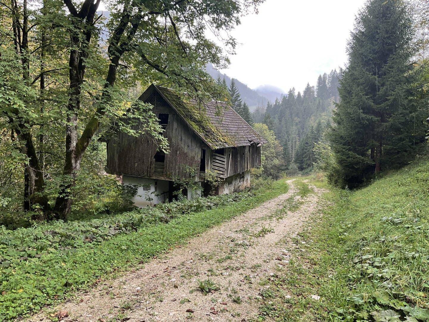 Verfallenes Holzgebäude am Waldrand, umgeben von Bäumen und einem unbefestigten Weg.