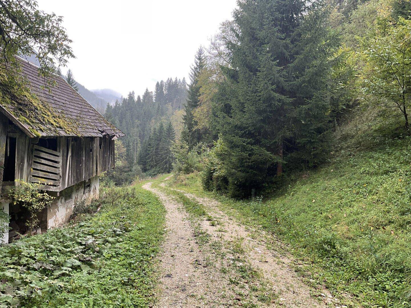 Unbefestigter Weg führt an einem alten Holzgebäude vorbei in einen dichten Wald.
