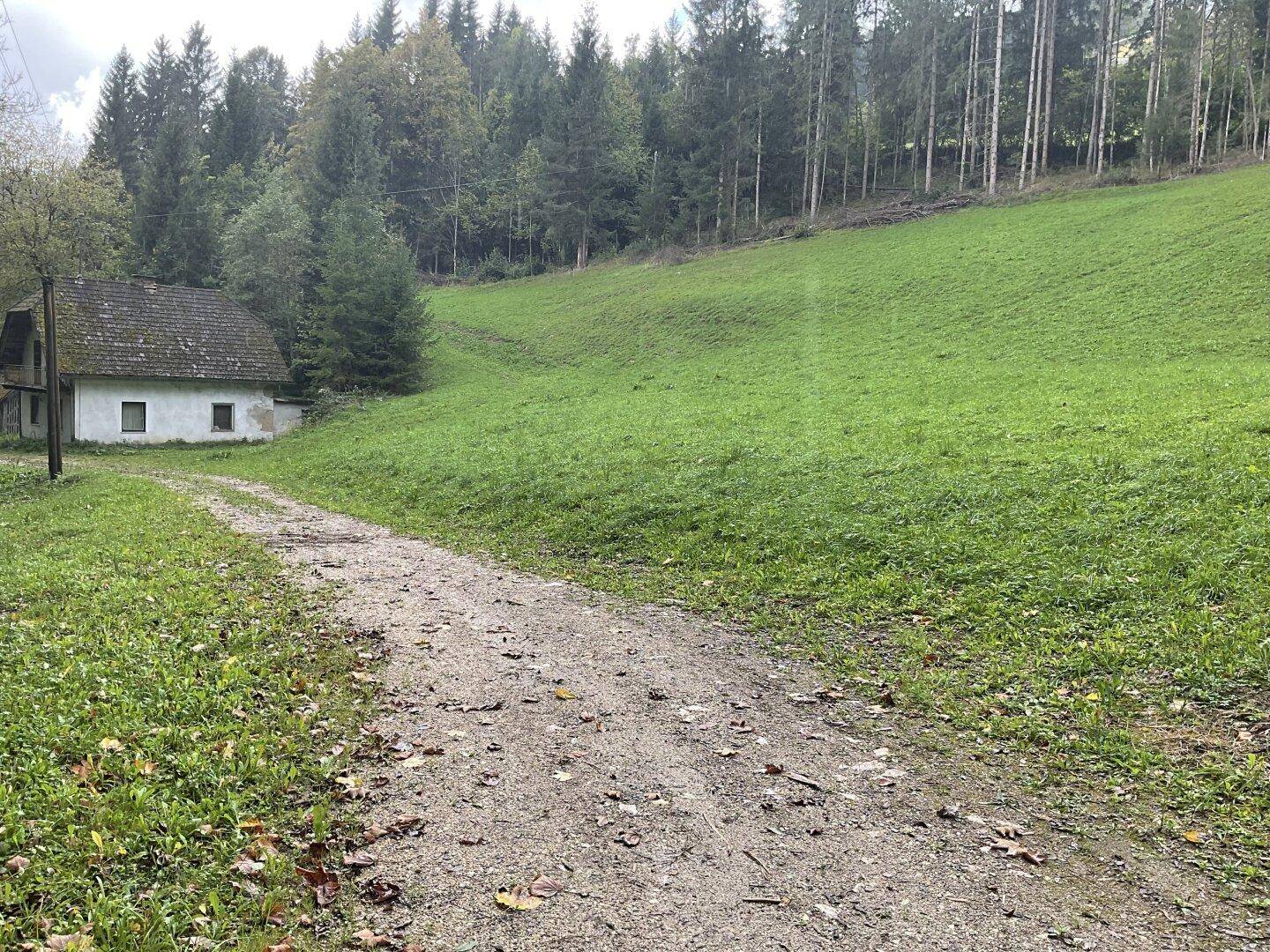 Schotterweg führt zu einem Bauernhaus am Fuße eines grünen Hügels mit Wald.