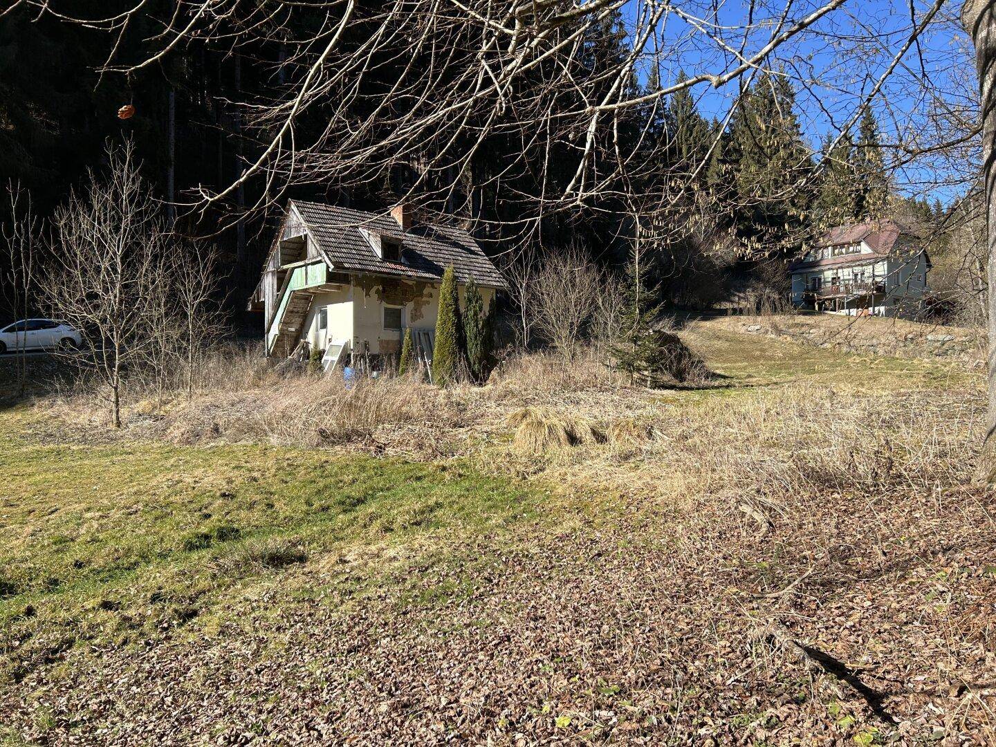 Panoramablick auf das alte Haus in einer sonnigen Waldlichtung mit weiteren Gebäuden im Hintergrund.