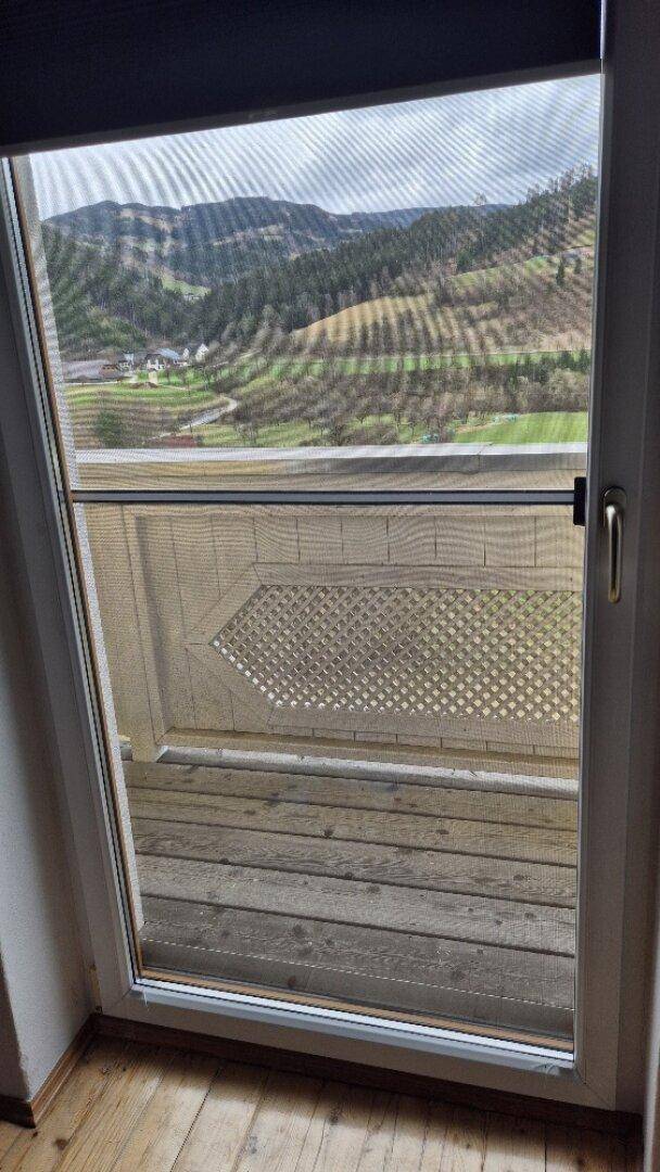 Fenster mit Insektenschutz und weitem Blick auf die grüne Hügellandschaft und Berge.