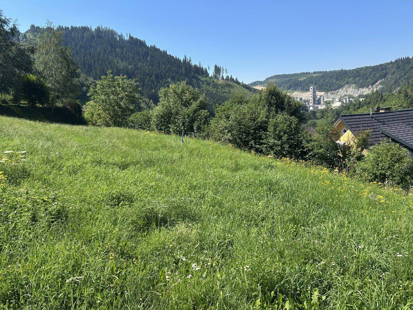 Grüne Wiesenfläche mit Fernblick auf bewaldete Hügel und eine Industrieanlage in der Ferne unter klarem Himmel.