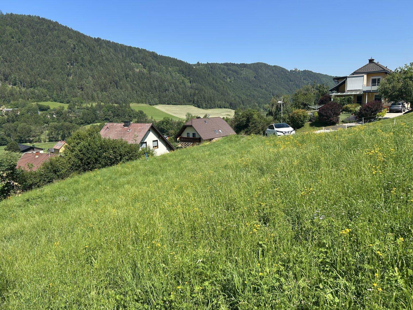 Sanft abfallende grüne Wiese mit Blick auf ländliche Häuser und bewaldete Berge im Hintergrund an einem sonnigen Tag.