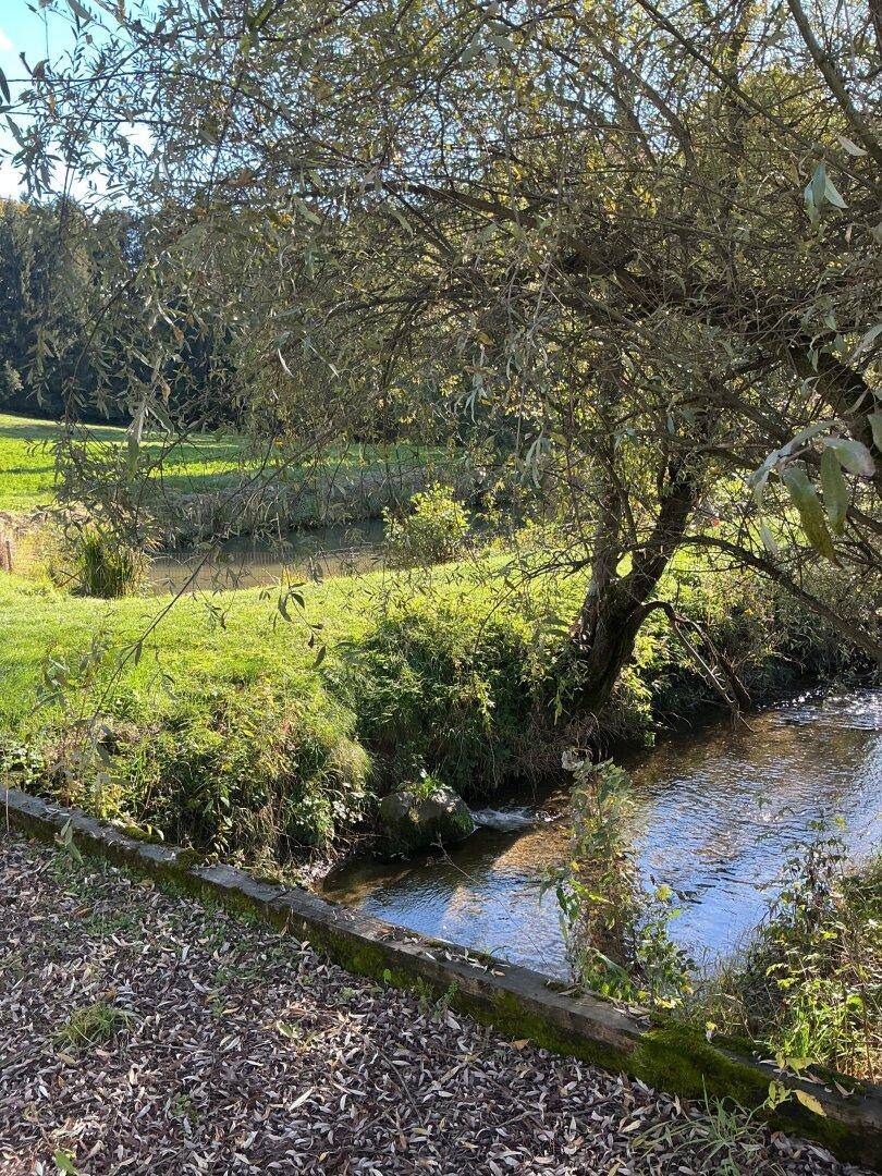 Idyllischer Bachlauf umgeben von üppigem Grün und Bäumen an einem sonnigen Tag.