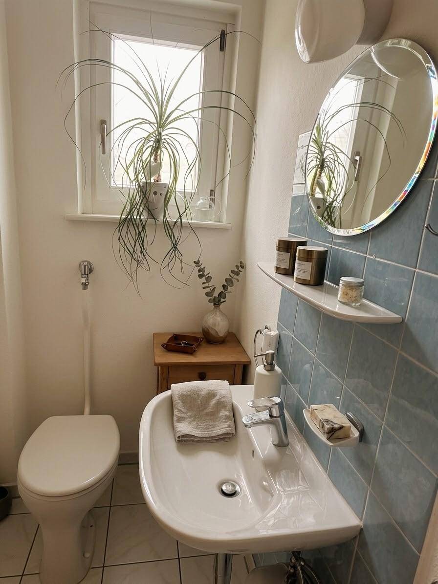 Gäste-WC mit WC, Waschbecken und Fenster, dekoriert mit einer Pflanze.