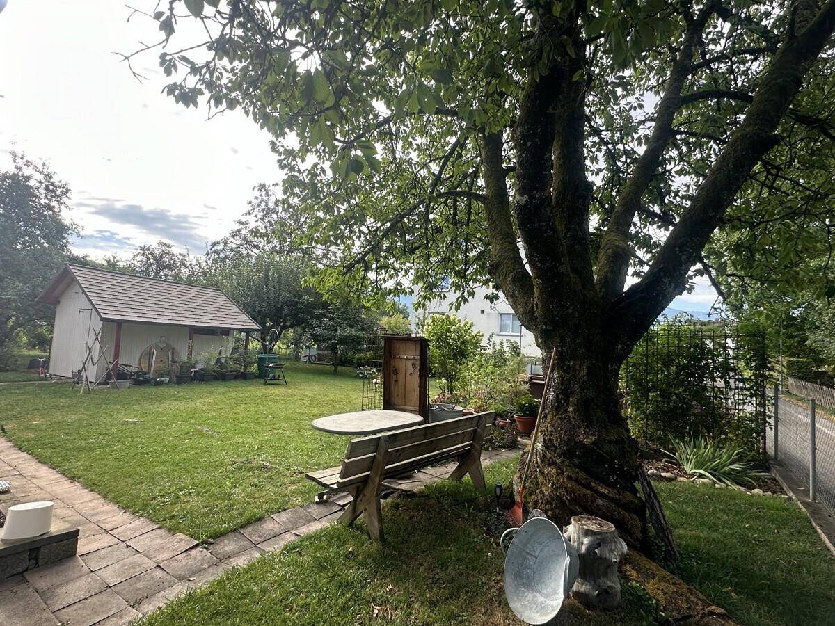 Großer Garten mit altem Baum, Sitzbank und Gartenhaus im Hintergrund.
