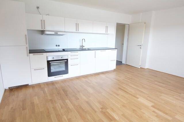 Moderne Einbauküche in Weiß mit dunkler Arbeitsplatte und hellem Holzfußboden.