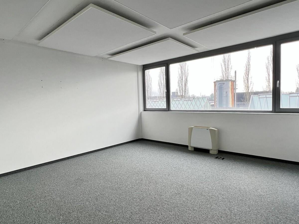 Helles Büro mit grauem Teppichboden, großen Fenstern und schallabsorbierenden Deckenplatten für eine angenehme Arbeitsatmosphäre.