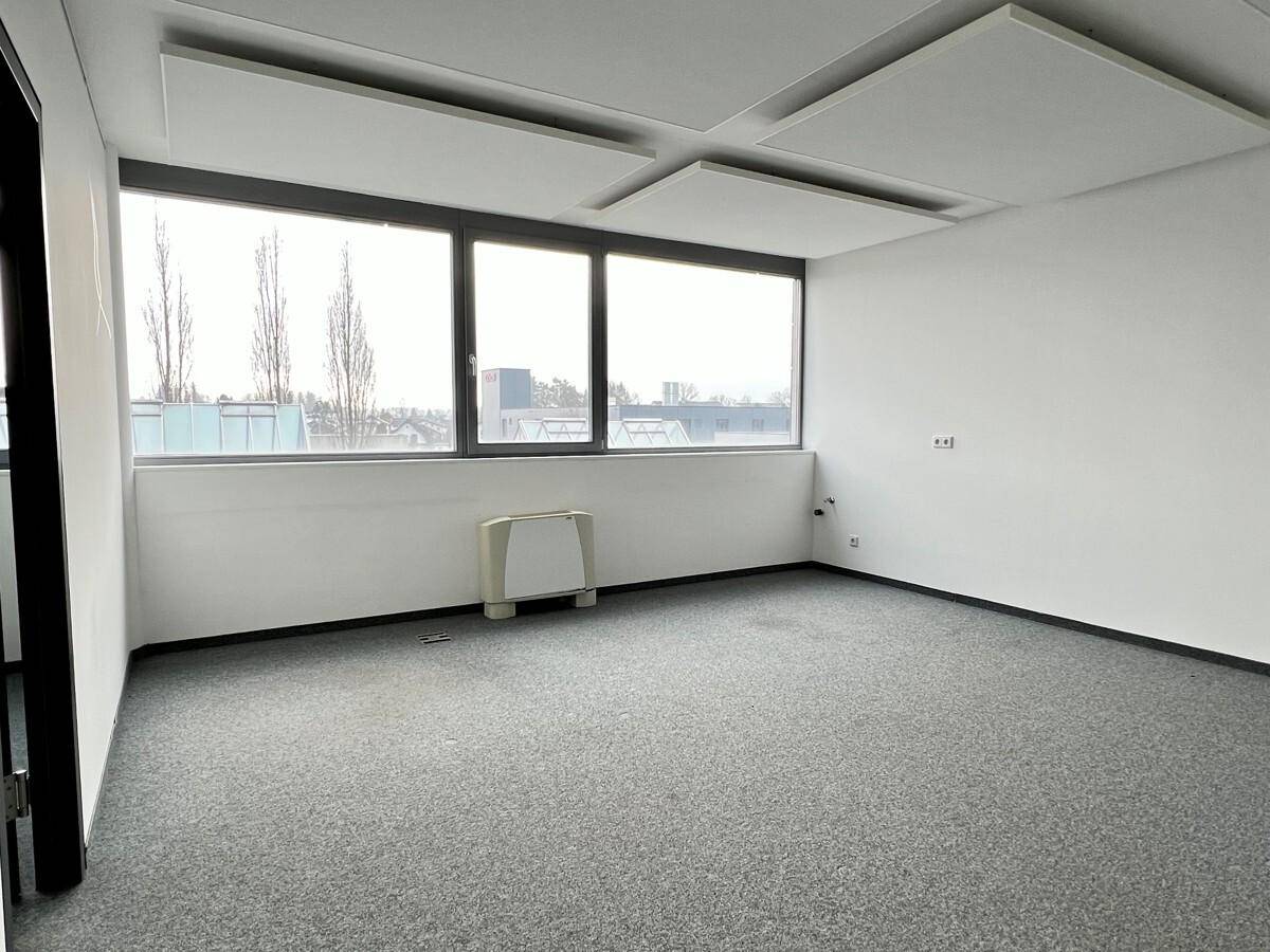 Leeres Büro mit grauem Teppichboden, großen Fenstern und schallabsorbierenden Deckenplatten für gute Akustik.