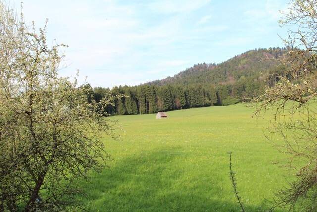 Malerische Landschaft mit weiten grünen Wiesen, umgeben von dichten Wäldern und Hügeln.