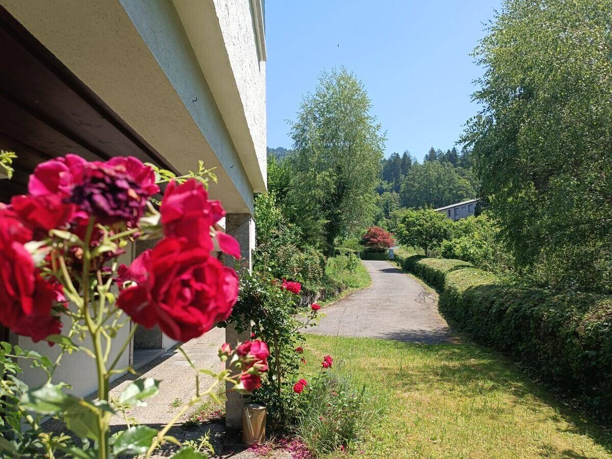 Malerischer Gartenweg mit blühenden roten Rosen und üppigem Grün, sehr gepflegt.