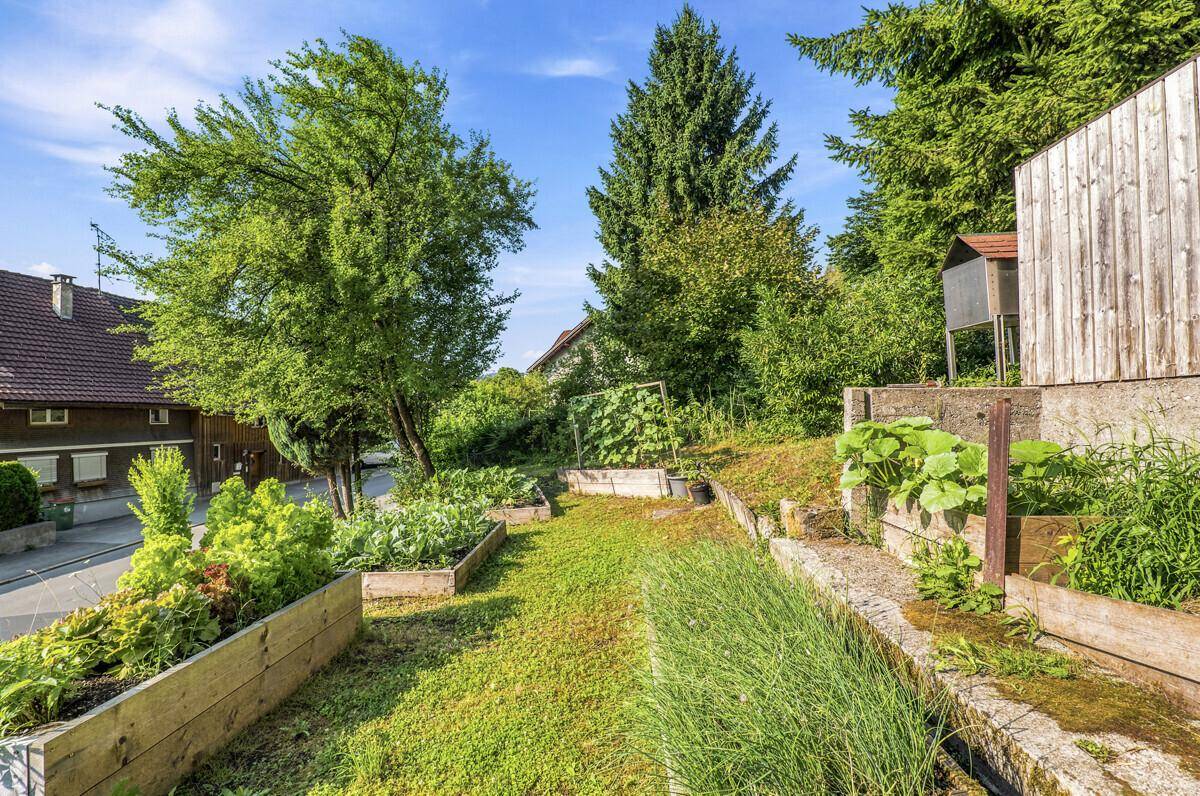 Terrassierter Garten mit Hochbeeten und üppigem Grün, ideal für den Anbau von Gemüse.