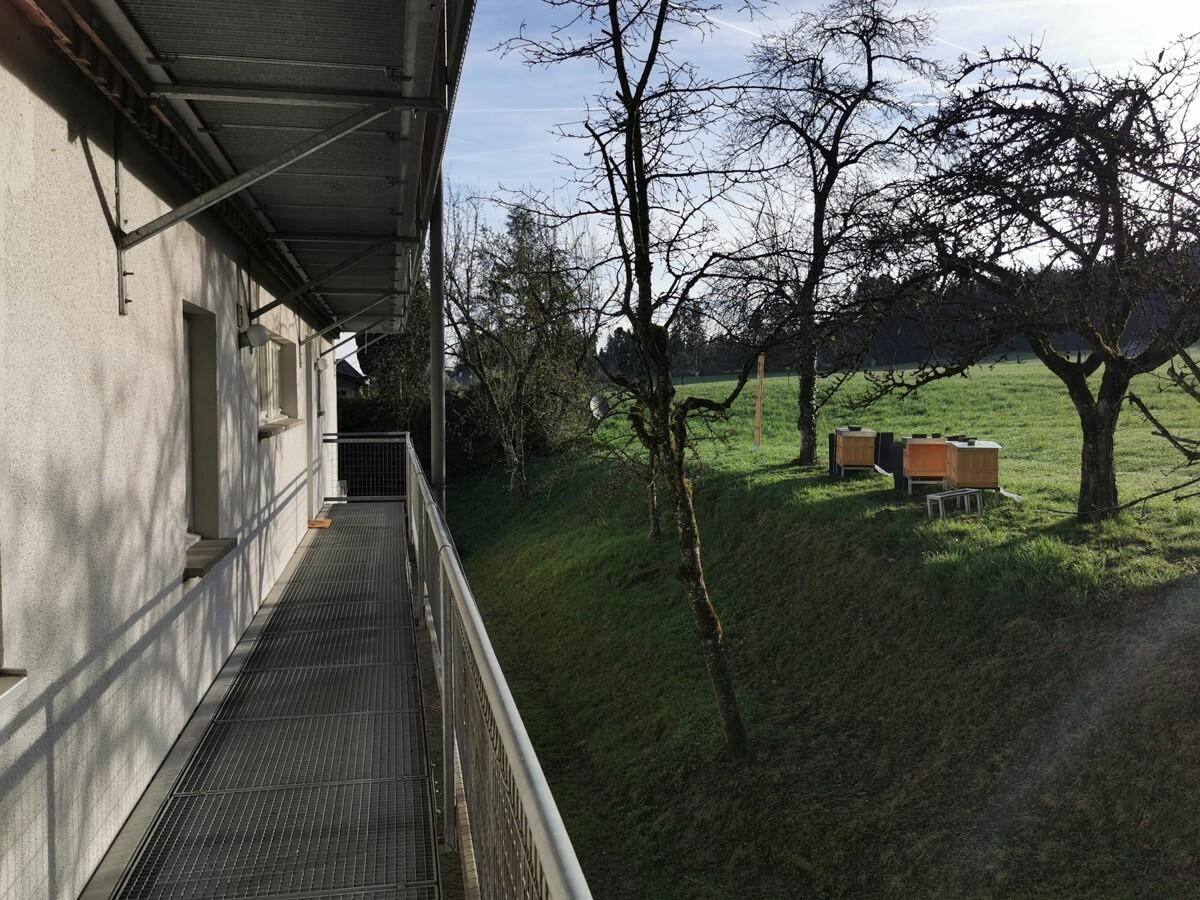 Langer Metallbalkon entlang der Gebäudeseite mit Blick auf eine grüne Wiese.