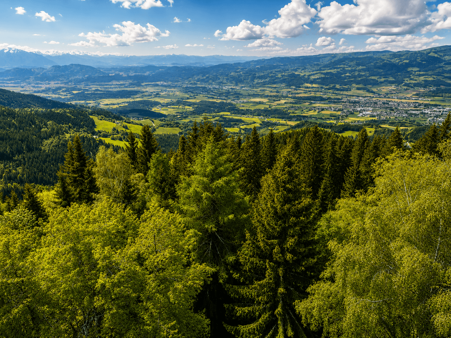 Weitläufiger Panoramablick über ein grünes Tal mit Wäldern, Feldern und schneebedeckten Bergen am Horizont.