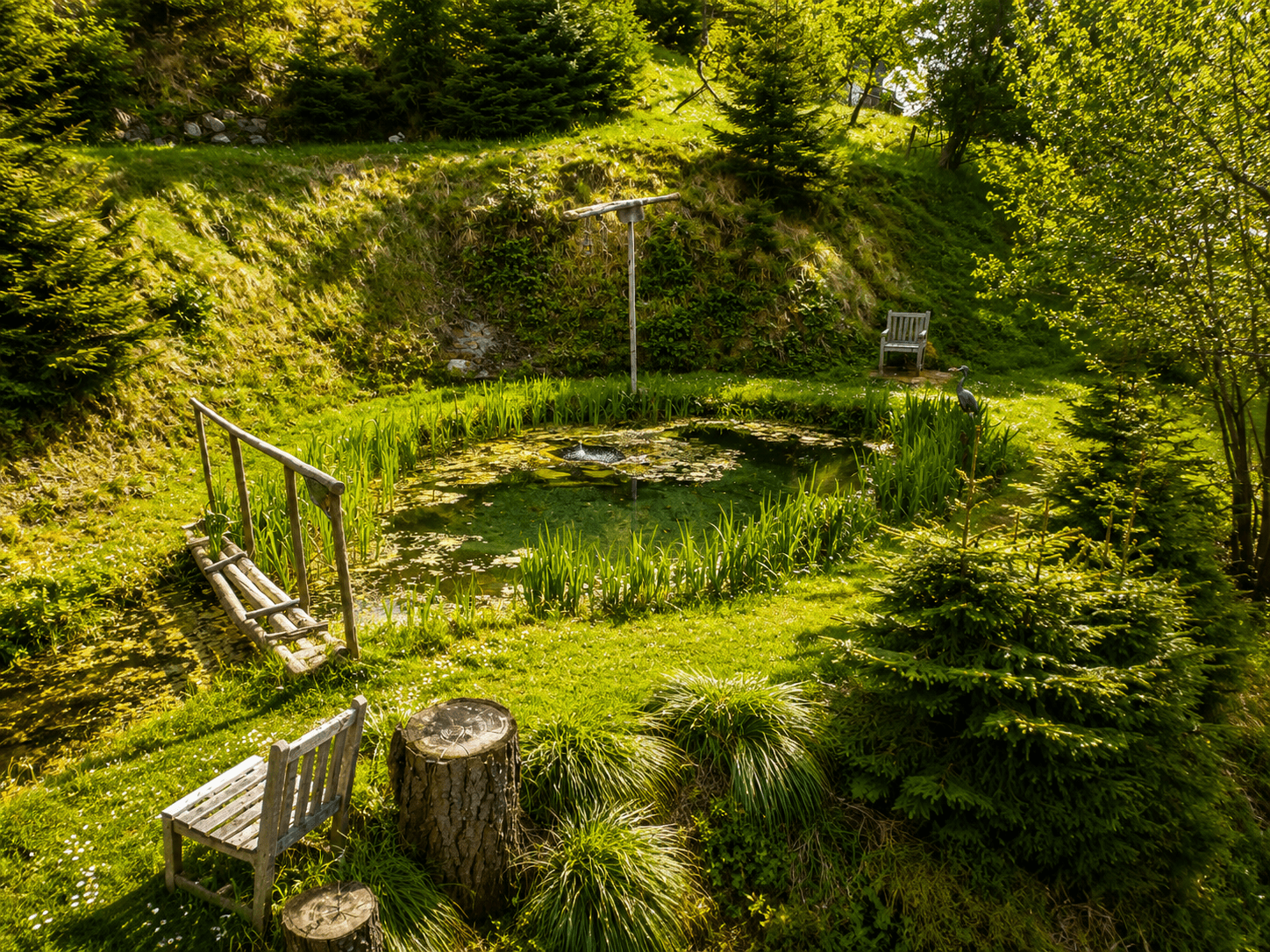 Natürlicher Gartenteich mit üppiger Vegetation und Sitzgelegenheiten in sonniger Lage.