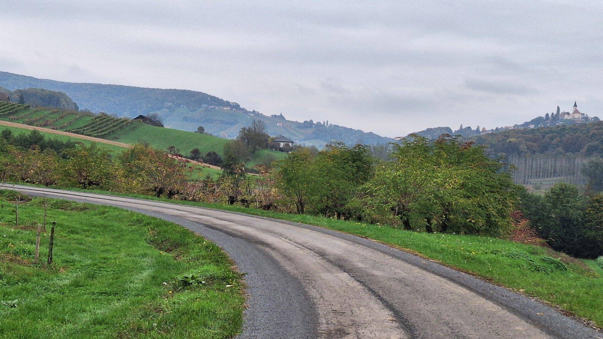 Geschwungene Landstraße führt durch eine grüne Hügellandschaft mit Weinbergen und einer Kirche am Horizont.