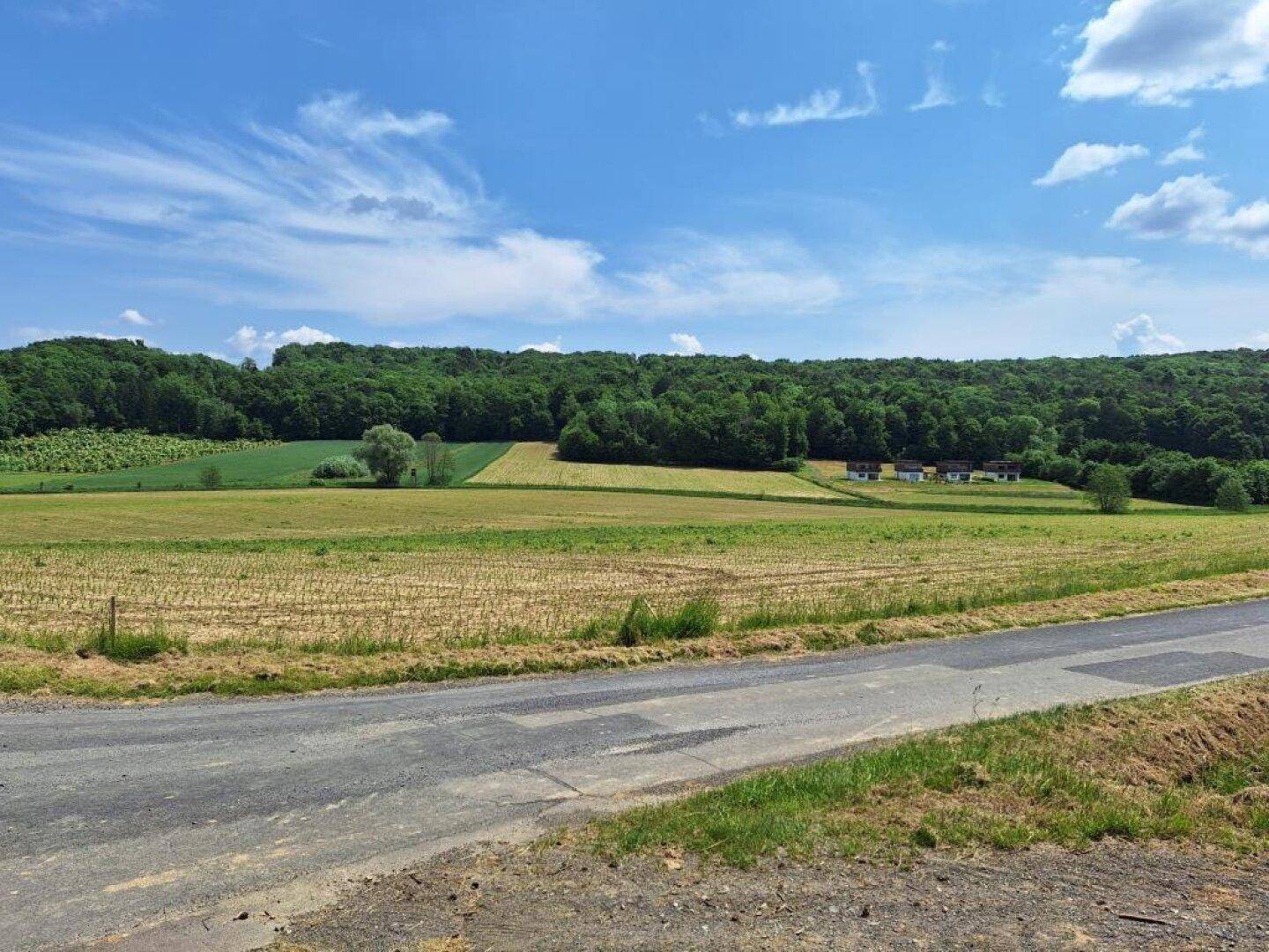 Landstraße im Vordergrund, die zu weiten Feldern und einem dichten Wald unter strahlend blauem Himmel führt.