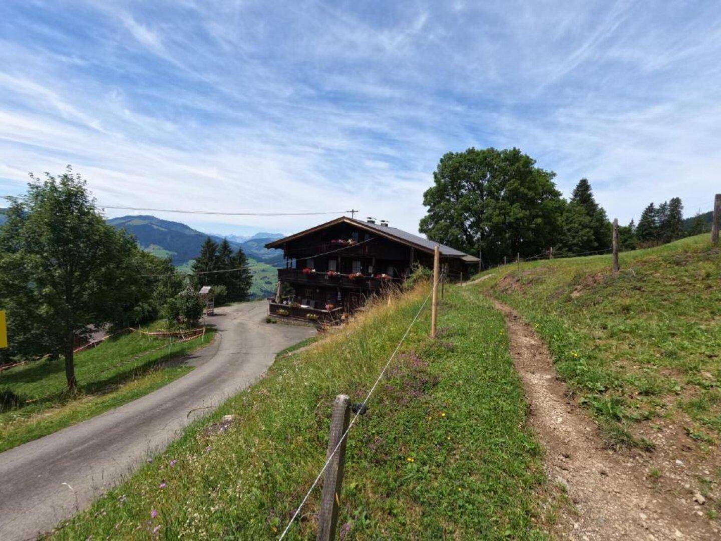 Traditionelles Holzhaus in alpiner Landschaft mit Zufahrt und grünen Wiesen im Sommer.