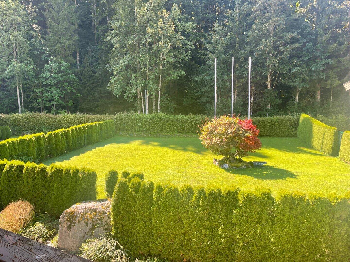 Gepflegter Gartenbereich mit akkurat geschnittenen Hecken und einem kleinen Baum.