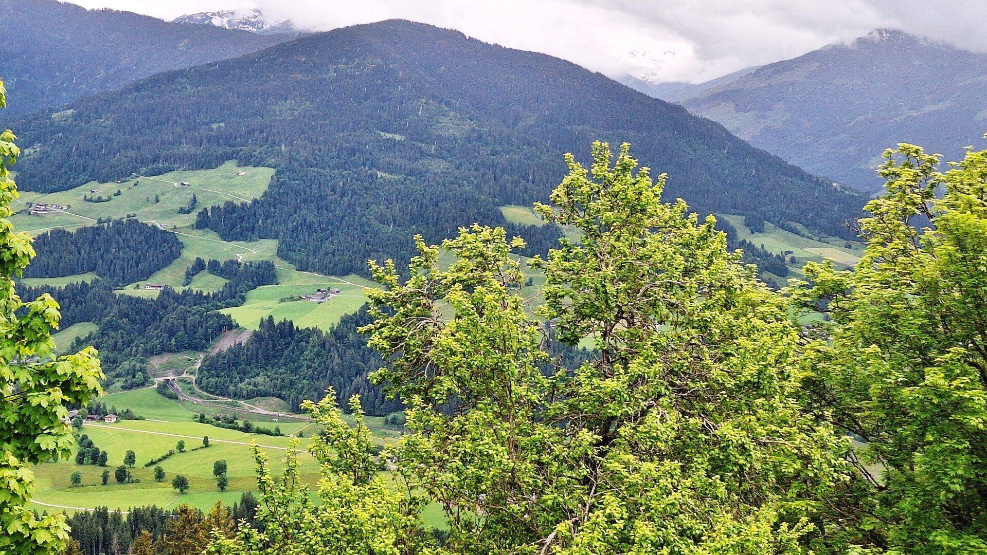 Panoramablick auf grüne Hügel und bewaldete Berge unter einem bewölkten Himmel, ideal für Naturliebhaber.