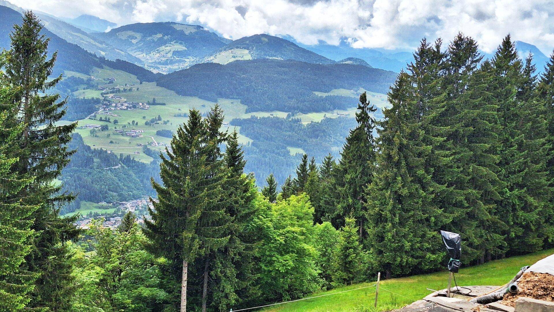 Weitläufiger Blick über bewaldete Täler und alpine Dörfer mit hohen Nadelbäumen im Vordergrund, umgeben von Natur.