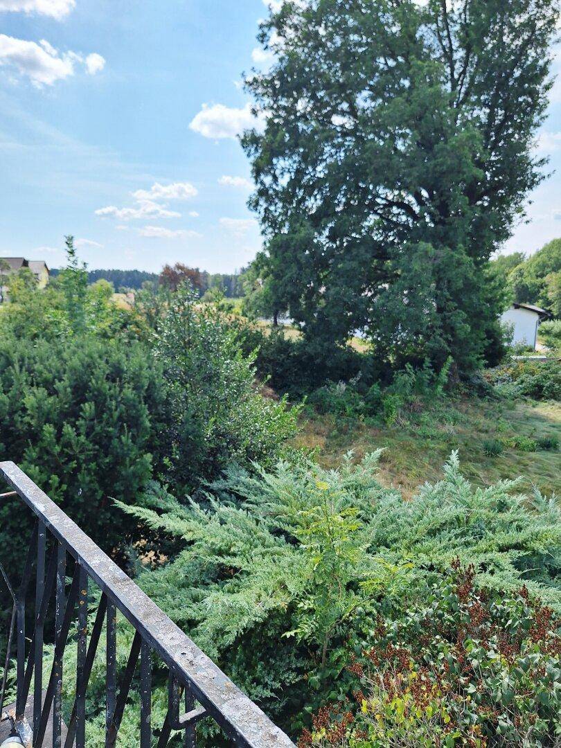 Weitläufiger Blick von einem Balkon über eine grüne Landschaft mit Bäumen und weiten Feldern.