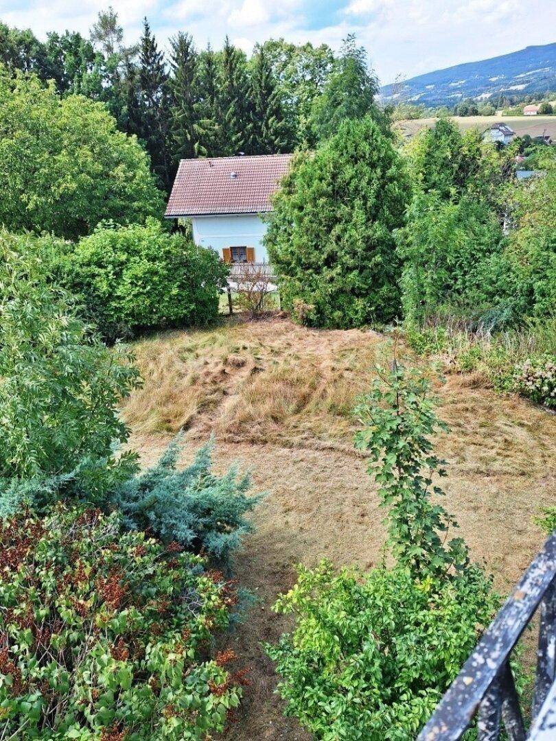 Gartenbereich mit trockener Rasenfläche und Bäumen, im Hintergrund ein Haus in ländlicher Umgebung.