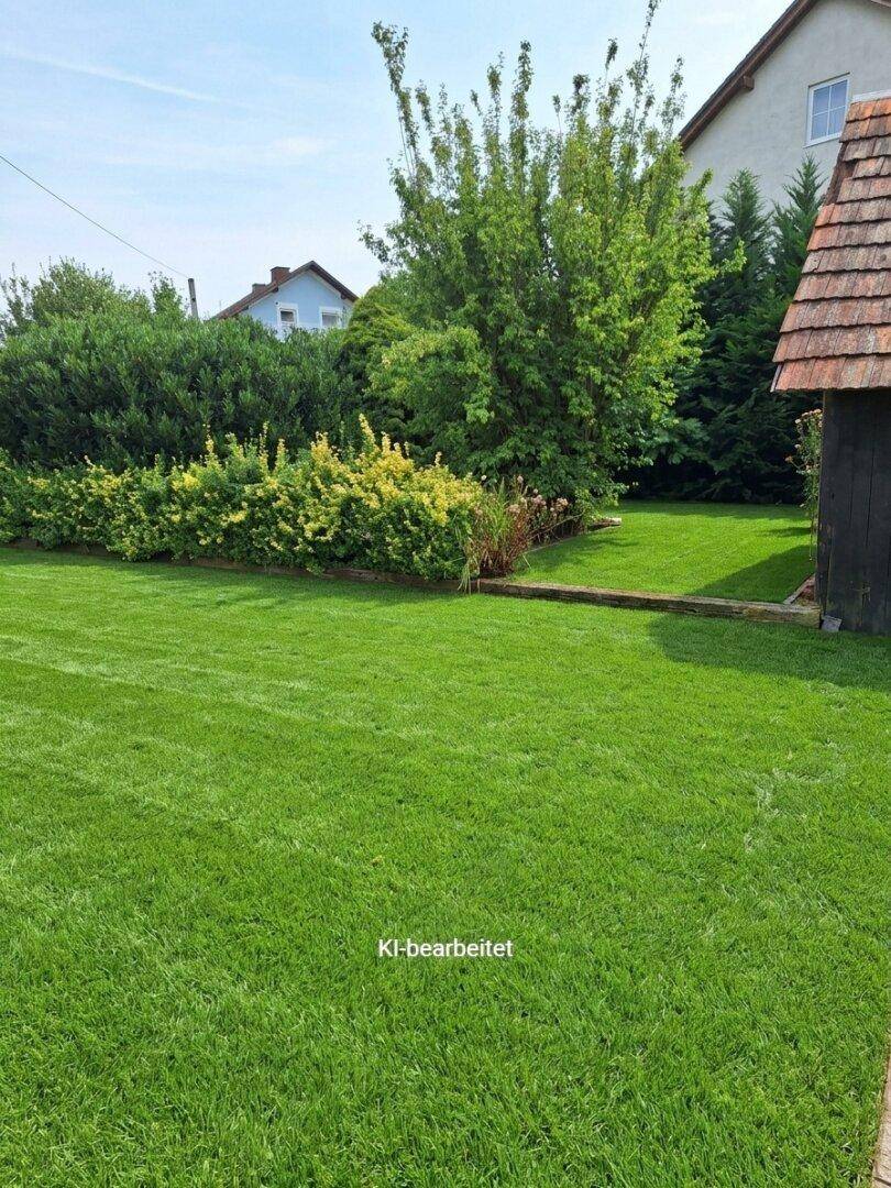 Gepflegter Rasenbereich mit einem kleinen Gartenhaus und umgebenden Hecken, sehr sonnig.